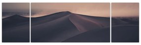 Obraz - Wydmy piaskowe (170x50 cm)