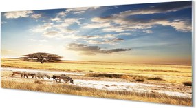 Panel szklany do Kuchni Zebry i Akacja pod Chmurami