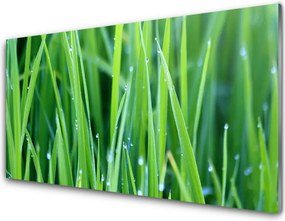Panel nad blat kuchenny Poranna Świeżość Trawy