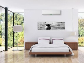 Obraz - Krowa, czarno - biała (170x50 cm)