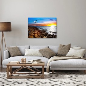 Obraz na szkle - Mewa lecąca nad wybrzeżem (70x50 cm)