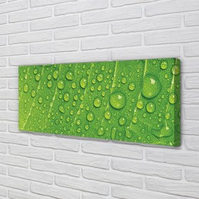 Zdjęcie na płótnie Makro Detal Liścia z Rosą