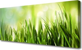Fotoobraz na płótnie Soczysta Zielona Trawa