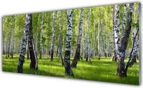 Panel Kuchenny Tajemniczy Bór Sosnowy