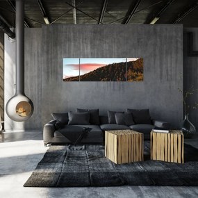 Obraz rudzików nad wzgórzem (170x50 cm)