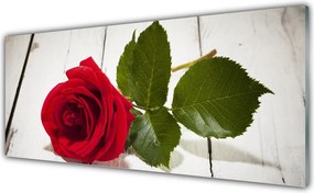Panel Szklany Klasyczna Czerwona Róża