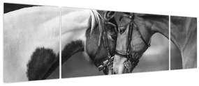 Obraz - Zakochane konie, czarno - biały (170x50 cm)