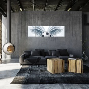 Obraz - Balon ze skrzydłami (170x50 cm)