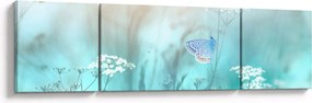 Obraz - Motyl w niebieskim (170x50 cm)