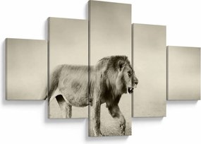Obraz - Głodny lew (125x70 cm)