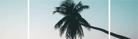 Obraz - Palma na Bali (170x50 cm)