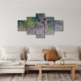 Obraz - Szczegół trawy (125x70 cm)