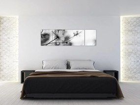 Obraz - Czarno - białe kwiaty (170x50 cm)
