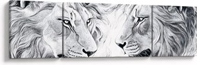 Obraz - Rysowane lwie głowy (170x50 cm)