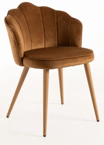 Aksamitne krzeso Blume