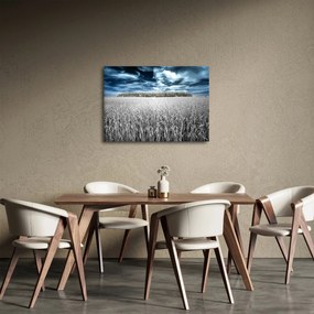 Obraz pola (70x50 cm)