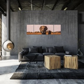 Obraz - Przybycie słonia (170x50 cm)