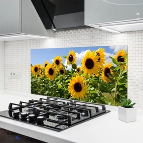 Panel Szklany Złoty Słonecznik w Słońcu