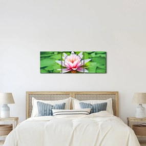 Obraz lilii wodnej na powierzchni (z zegarem) (90x30 cm)