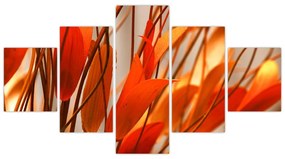Obraz płatków kwiatów (125x70 cm)