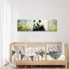 Obraz - Panda (170x50 cm)