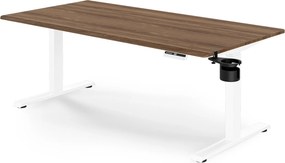 Biurko elektryczne z regulacją wysokości ergonomiczne białe/orzech,1600x800 mm: ARIA