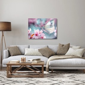 Obraz - Motyl na drzewie wiśni (70x50 cm)
