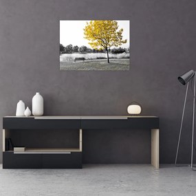 Obraz - Odpoczynek w parku (70x50 cm)