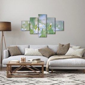 Obraz - Delikatne kwiaty (125x70 cm)
