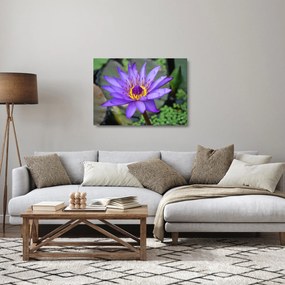 Obraz na szkle - Fioletowy kwiat (70x50 cm)