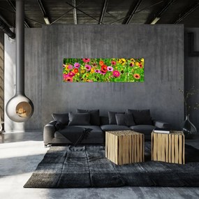 Obraz kwiatów polnych (170x50 cm)