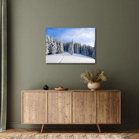 Obraz - Zima w lasach (70x50 cm)