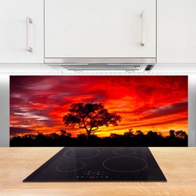 Szkło do Kuchni na Ścianę Głusza Leśnej Natury