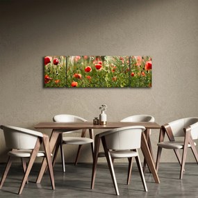 Obraz maków (170x50 cm)