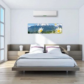 Obraz - Wiosna w Alpach (170x50 cm)