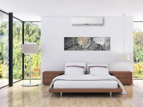 Obraz - Pień drzewa w kolażu (170x50 cm)