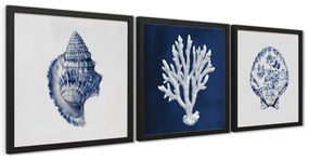 Obraz 30x30 cm Sea Treasure – Styler