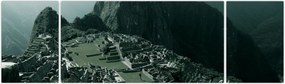 Obraz - Lamy w Machu Picchu w Peru (170x50 cm)