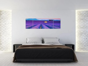 Obraz - Lewndowe pole (170x50 cm)