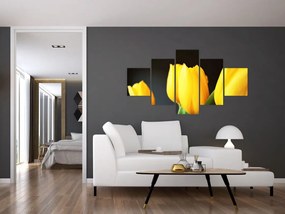 Obraz tulipanów (125x70 cm)