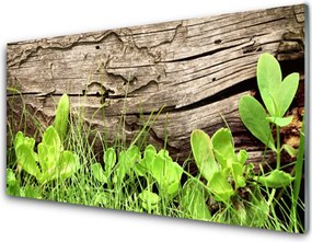 Panel Szklany Kwiaty Ukryte w Trawie