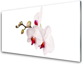 Panel Szklany Botaniczna Elegancja Storczyka