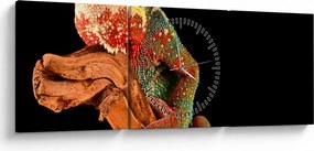 Obraz kameleona na gałęzi (z zegarem) (90x30 cm)