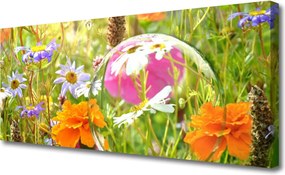 Obraz na płótnie Świeżość Kwiatów Ogrodowych