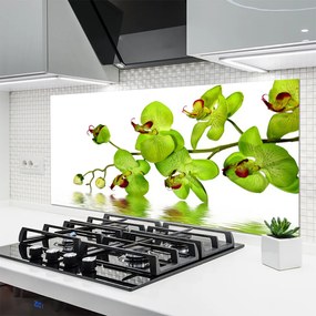 Dekor Szklany do Kuchni Kolorowy Ogród Botaniczny