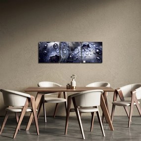 Obraz owoców z kroplami wody (z zegarem) (90x30 cm)