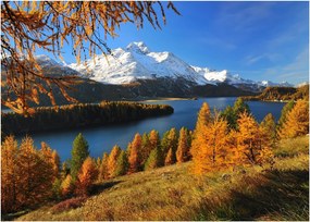 Obraz - Jesień w Alpach (70x50 cm)