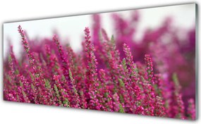 Panel Szklany do Kuchni Harmonijna Polana Kwiatowa