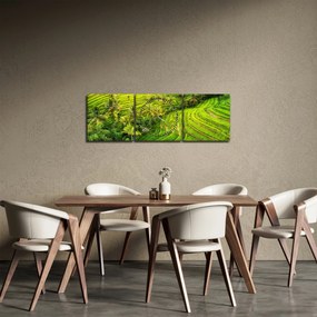 Obraz - Pola ryżowe (z zegarem) (90x30 cm)