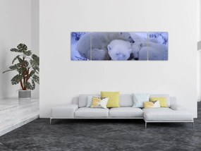 Obraz - Niedźwiadki polarne (170x50 cm)